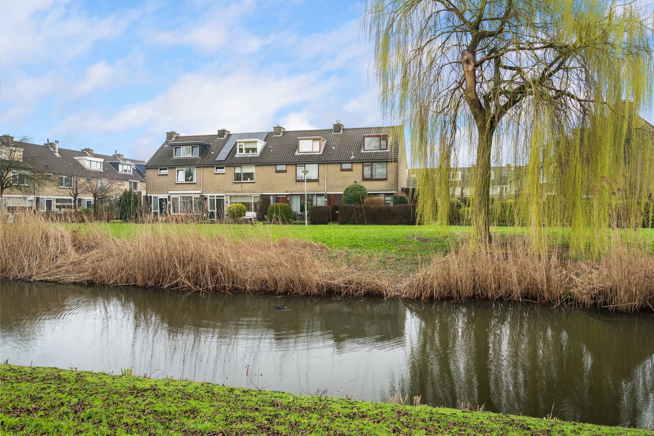 Foto 6 van Korenbloem 31