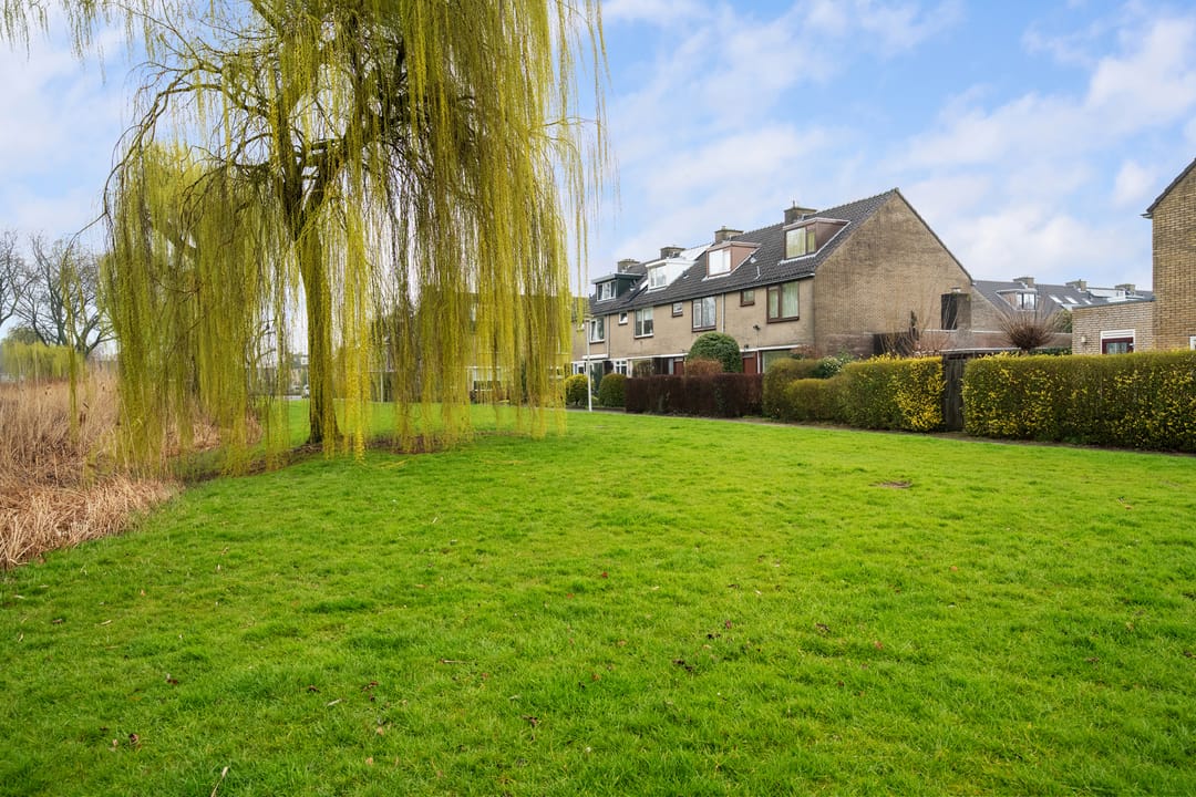 Foto 7 van Korenbloem 31