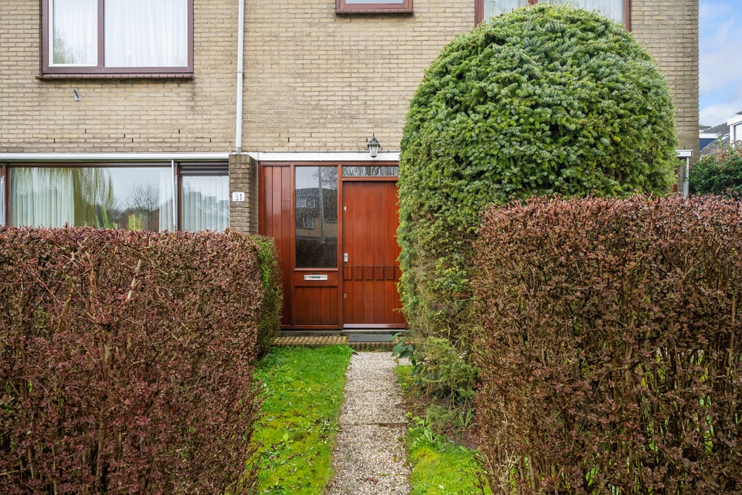 Foto 8 van Korenbloem 31