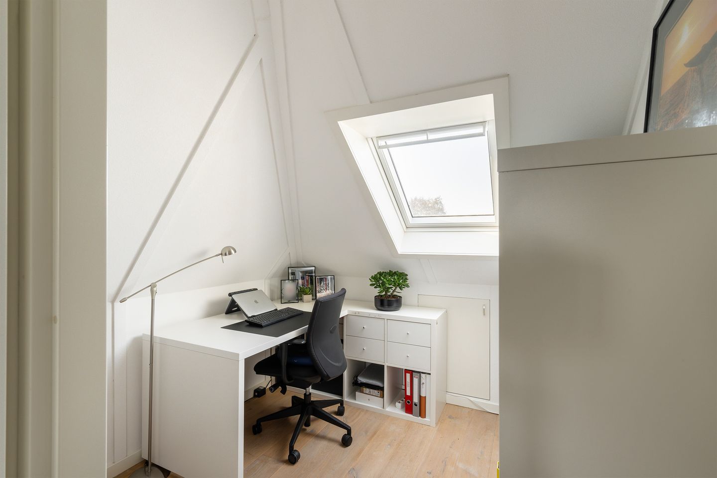 Foto 50 van Stille Oceaan 17