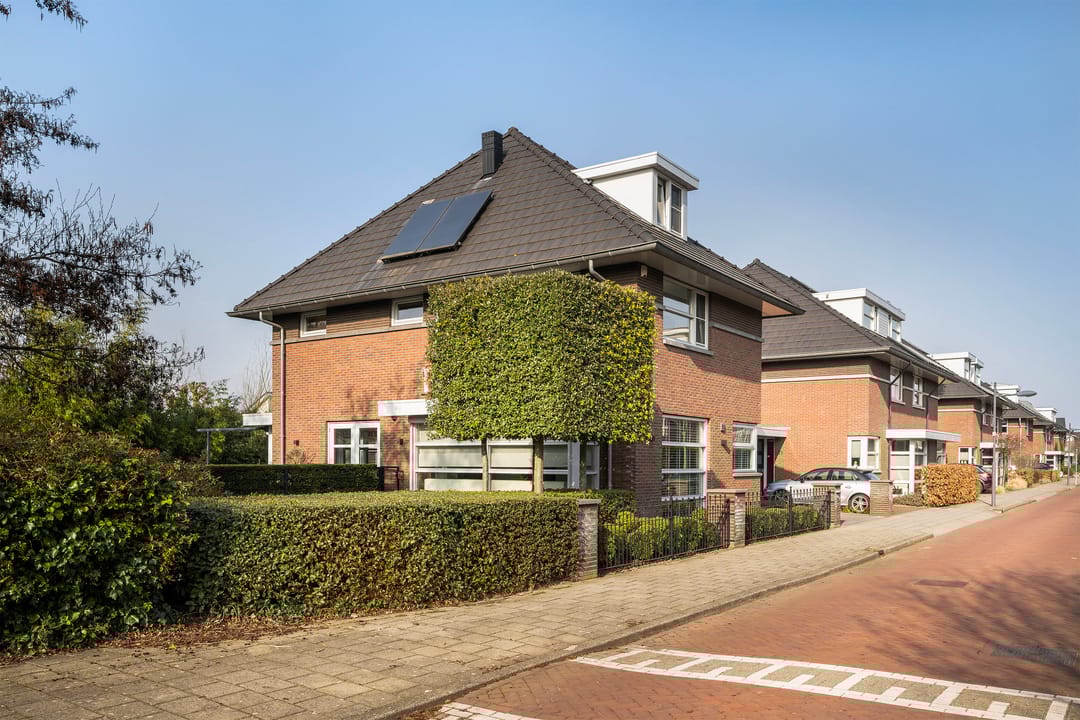 Foto 56 van Stille Oceaan 17