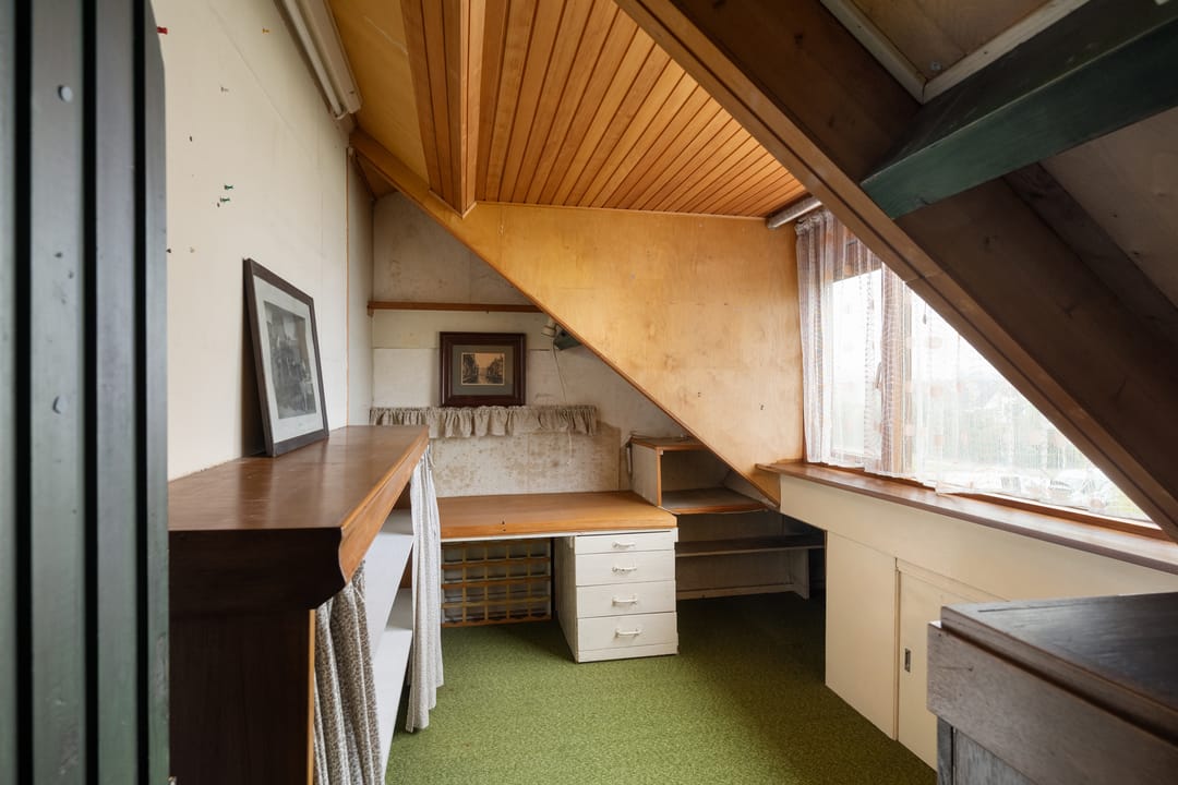 Foto 31 van Korenbloem 31