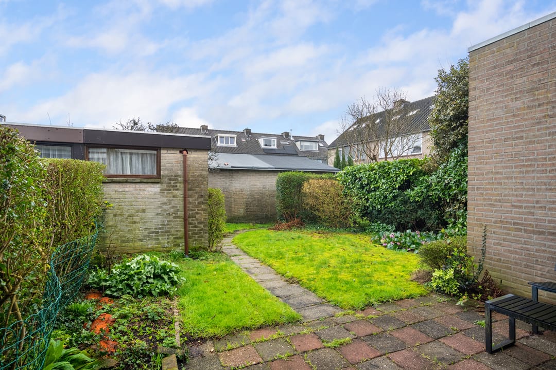 Foto 32 van Korenbloem 31