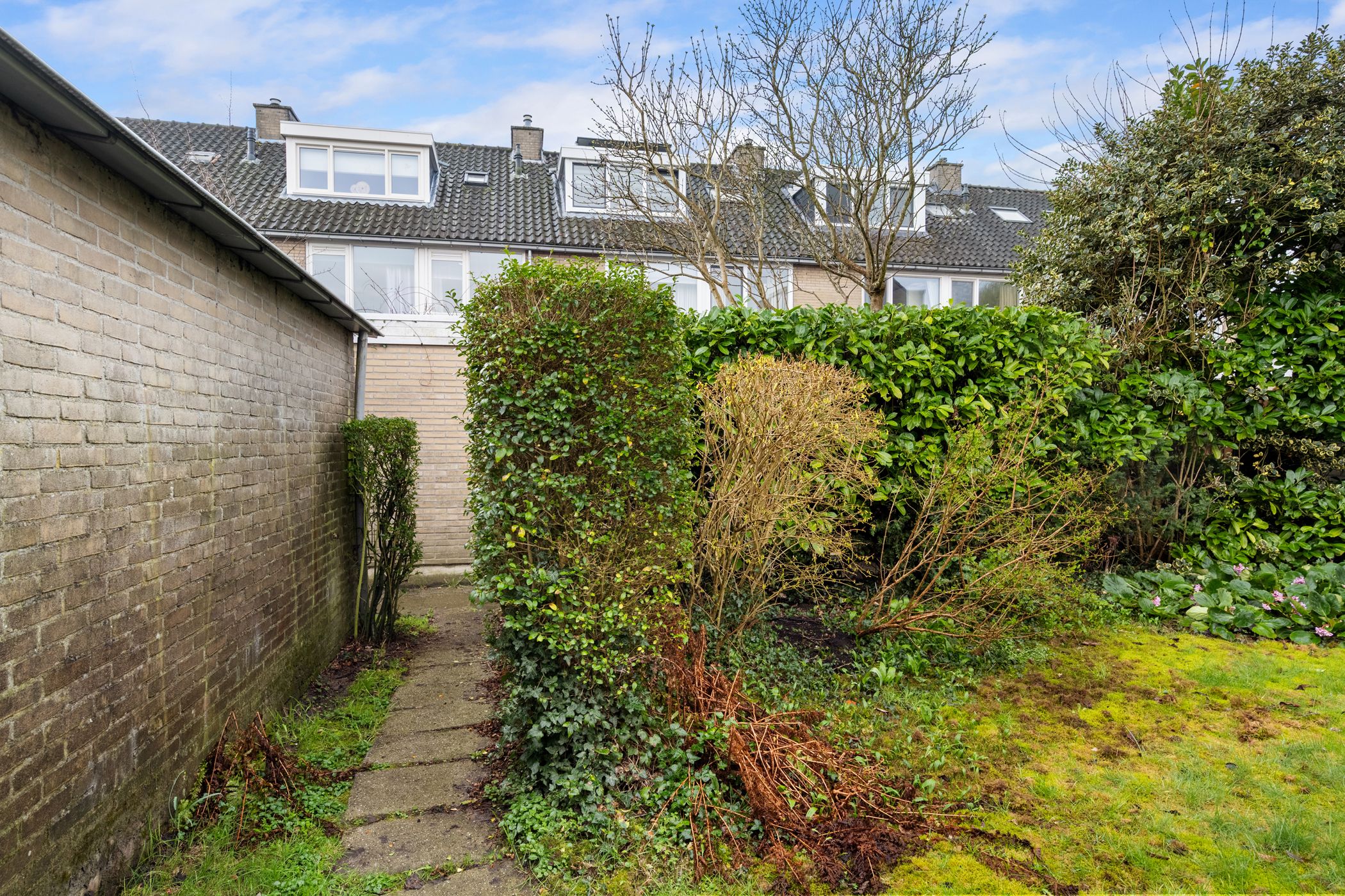 Foto 36 van Korenbloem 31