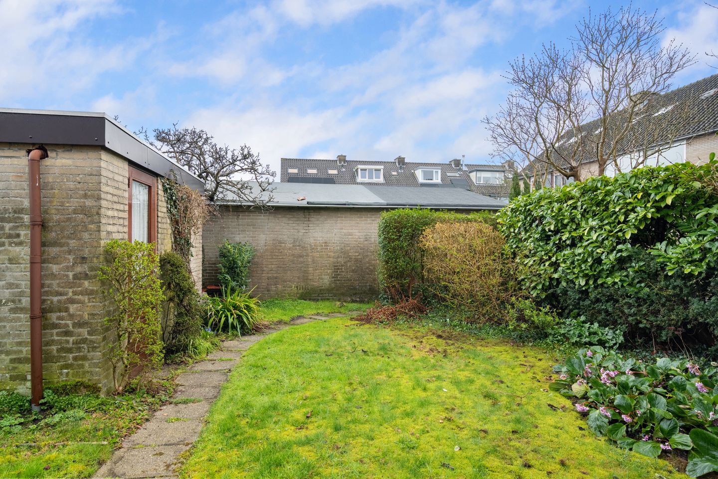 Foto 34 van Korenbloem 31