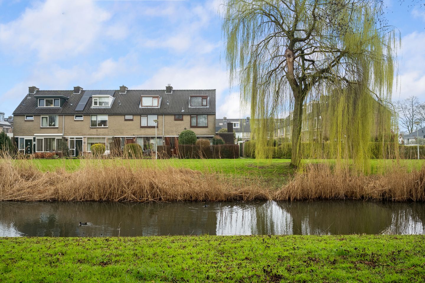 Foto 5 van Korenbloem 31