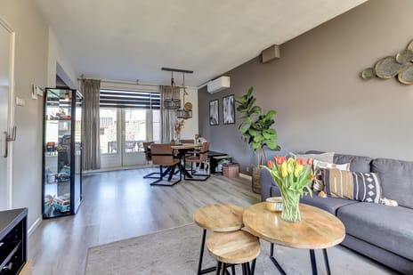 van der Weijstrjitte 41 tertiary image