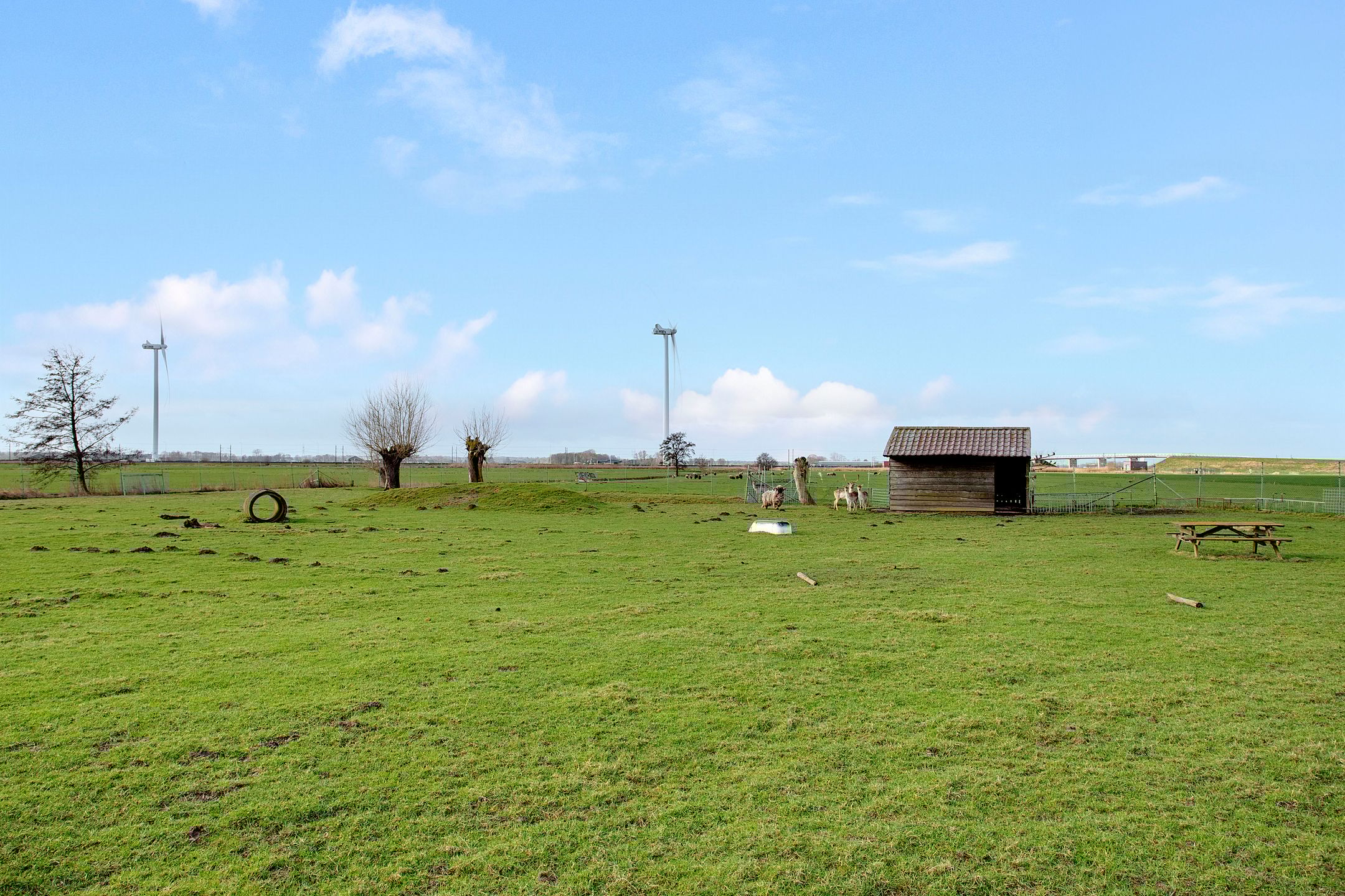 Foto 54 van Gelderse Kade 5-A