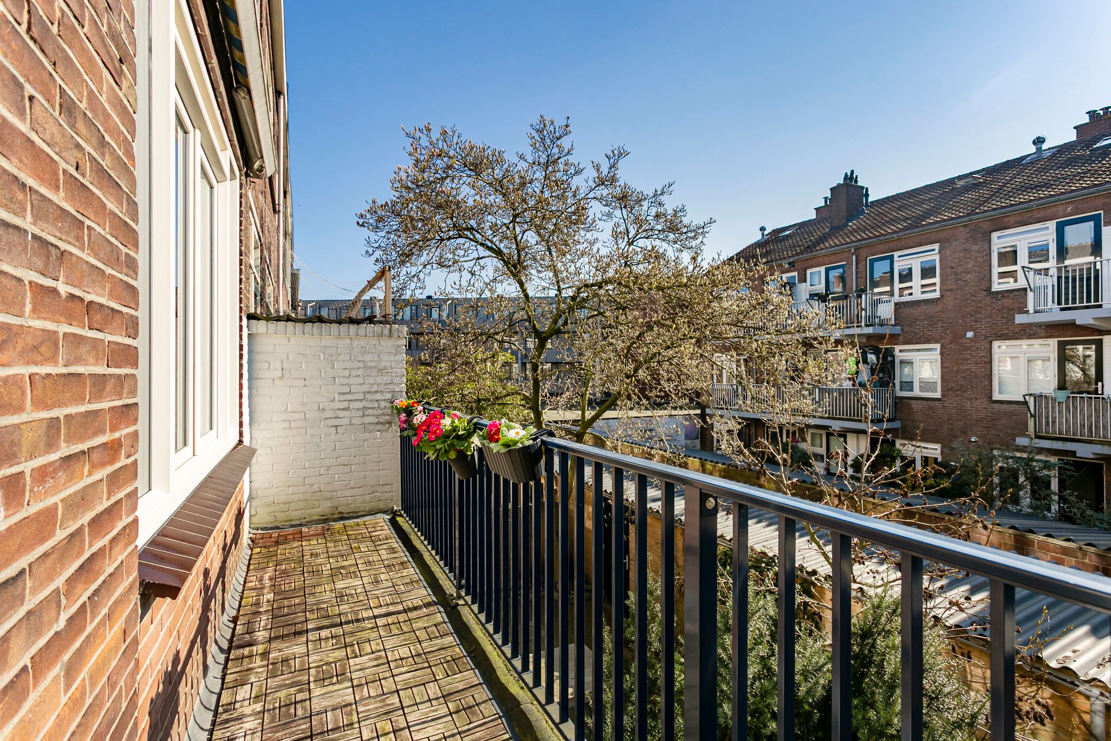 Foto 3 van Rhijnvis Feithstraat 26-BSA