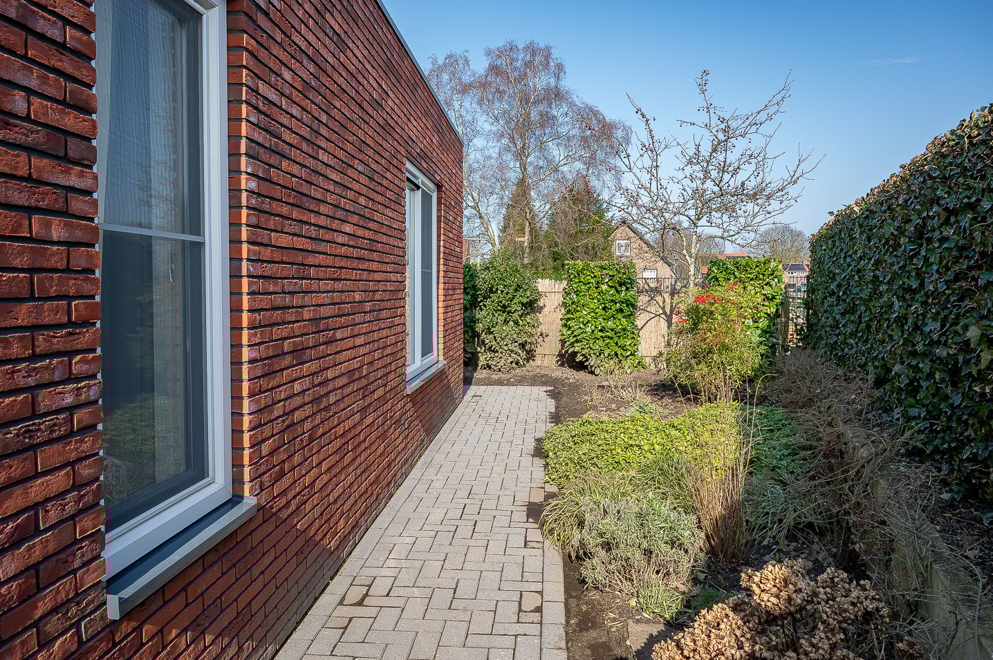 Photo 21 of Burgemeester Galleestr 81