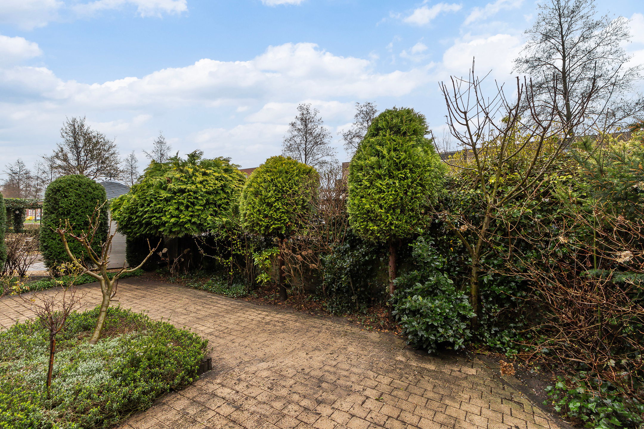 Foto 33 van Watersnip 6