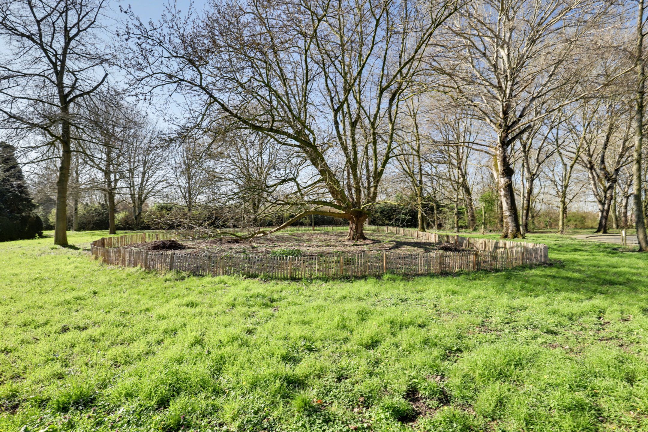 Foto 51 van Hertogshoef 256