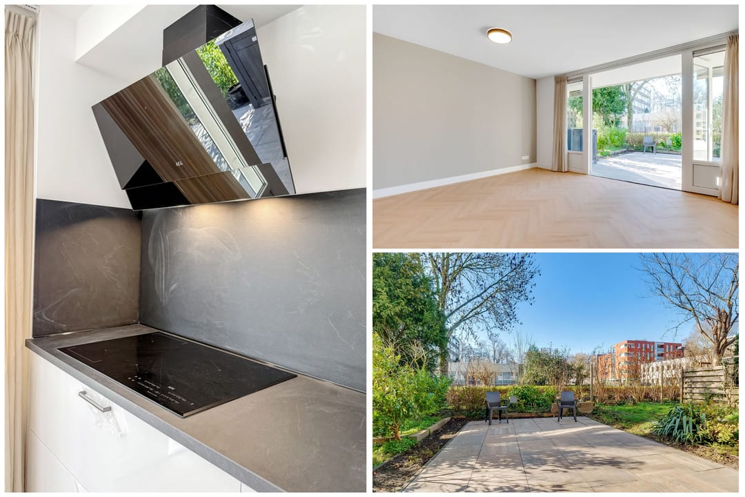 Photo 8 of Majella 19