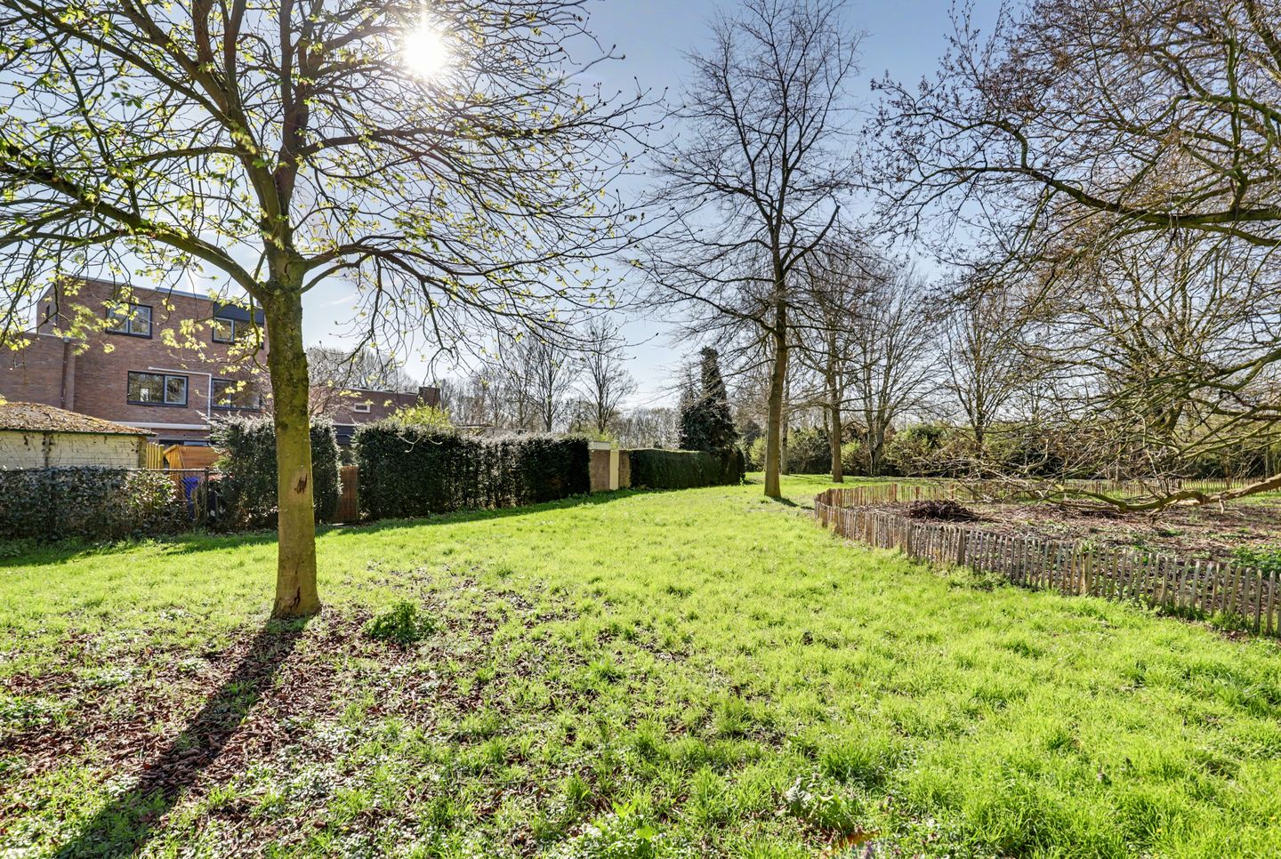 Foto 50 van Hertogshoef 256