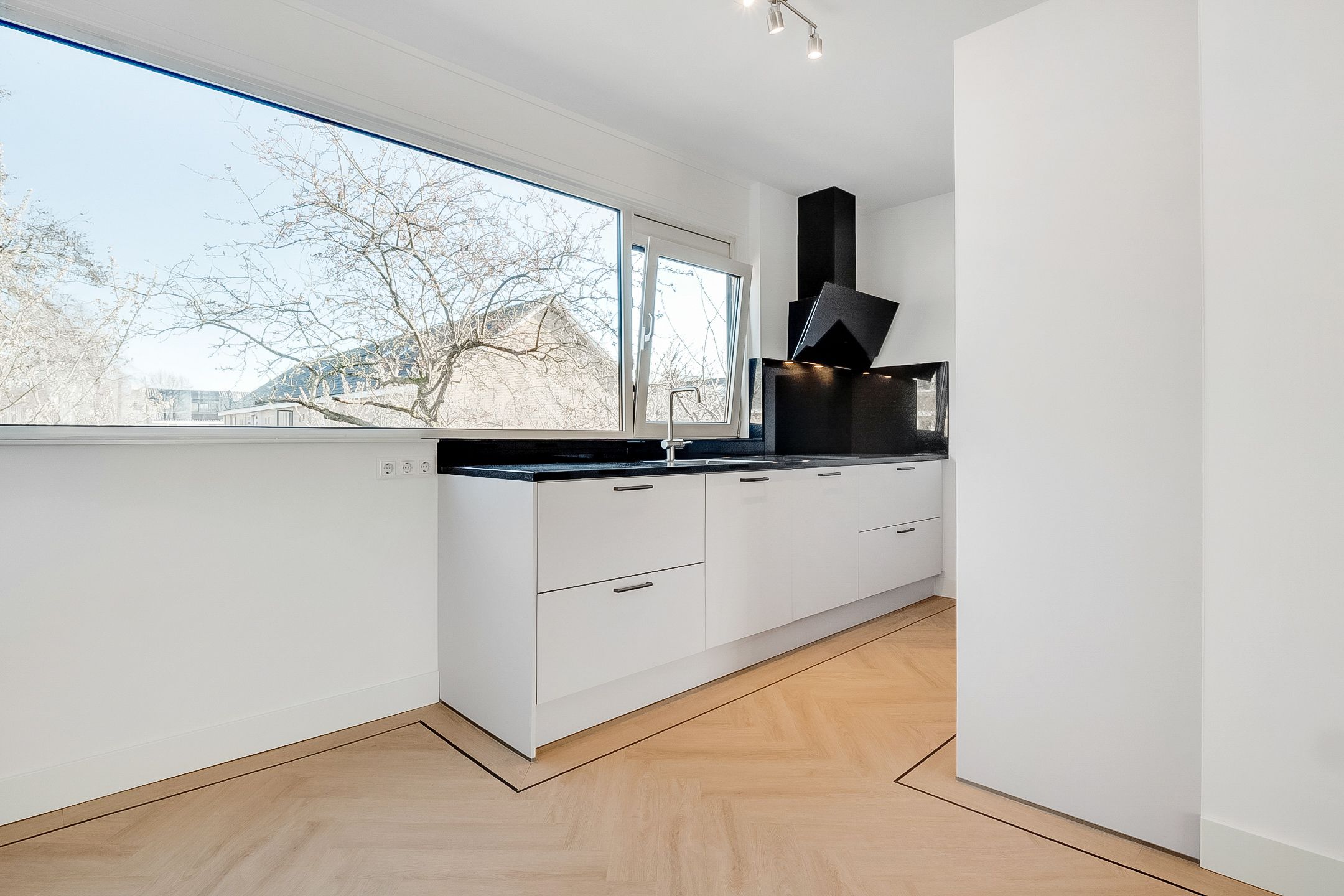 Photo 21 of Majella 19