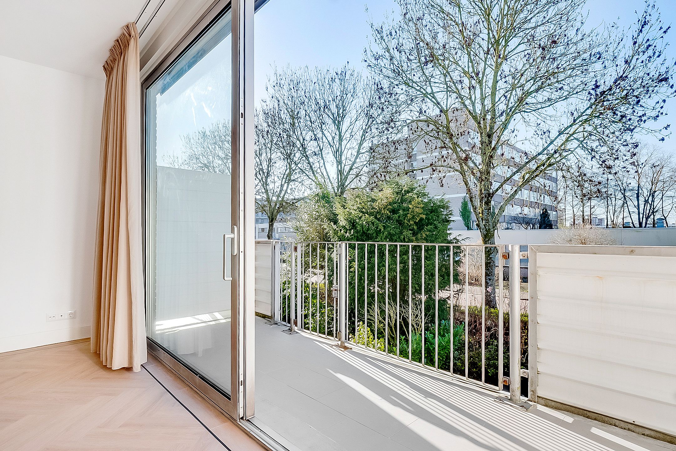 Photo 27 of Majella 19