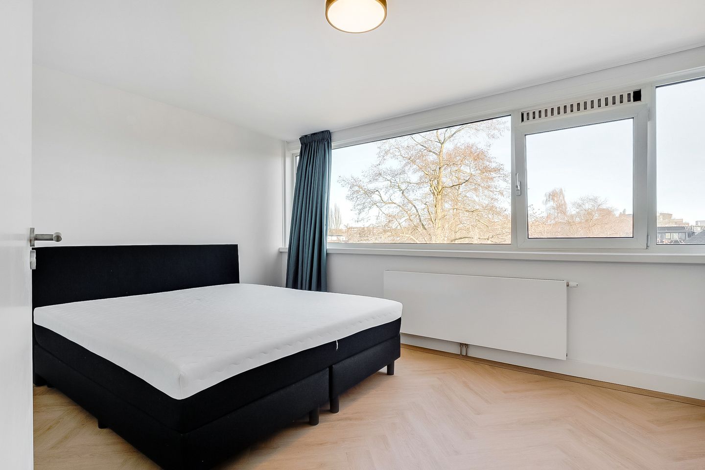 Photo 35 of Majella 19