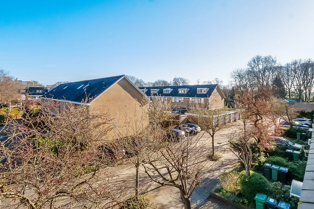 Photo 38 of Majella 19