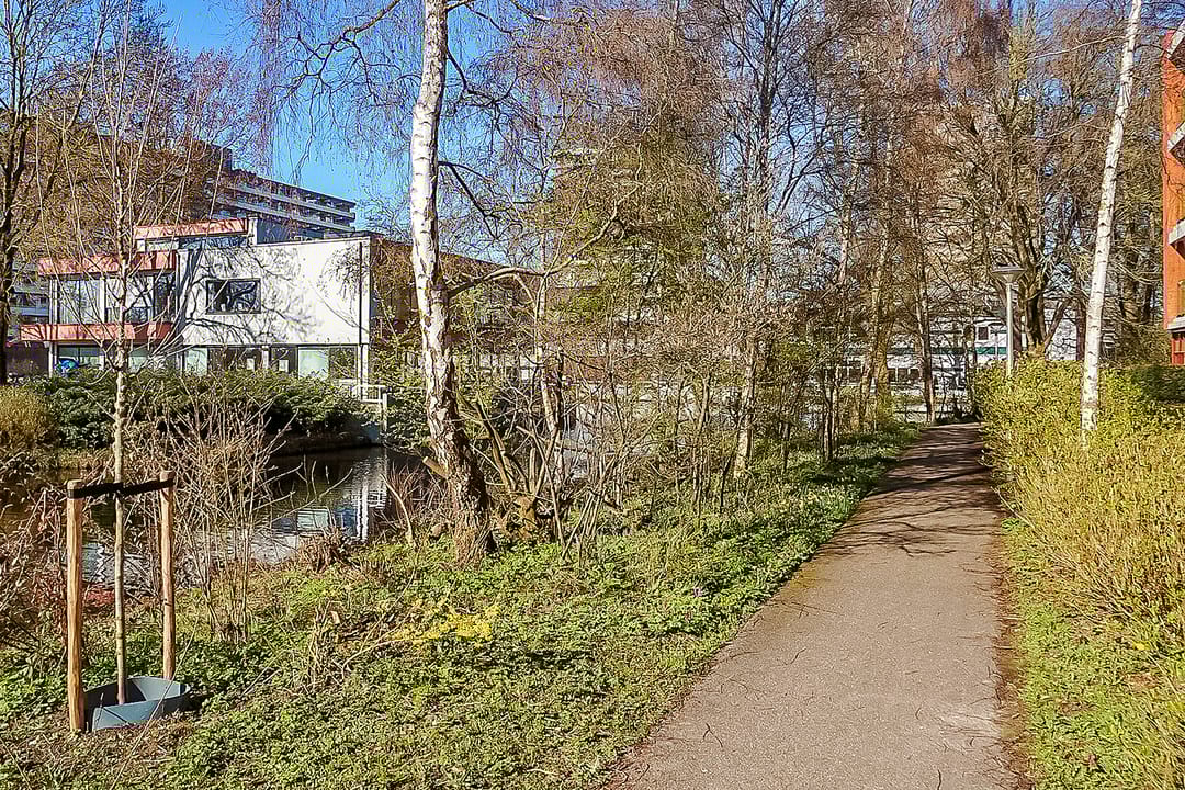 Photo 41 of Majella 19