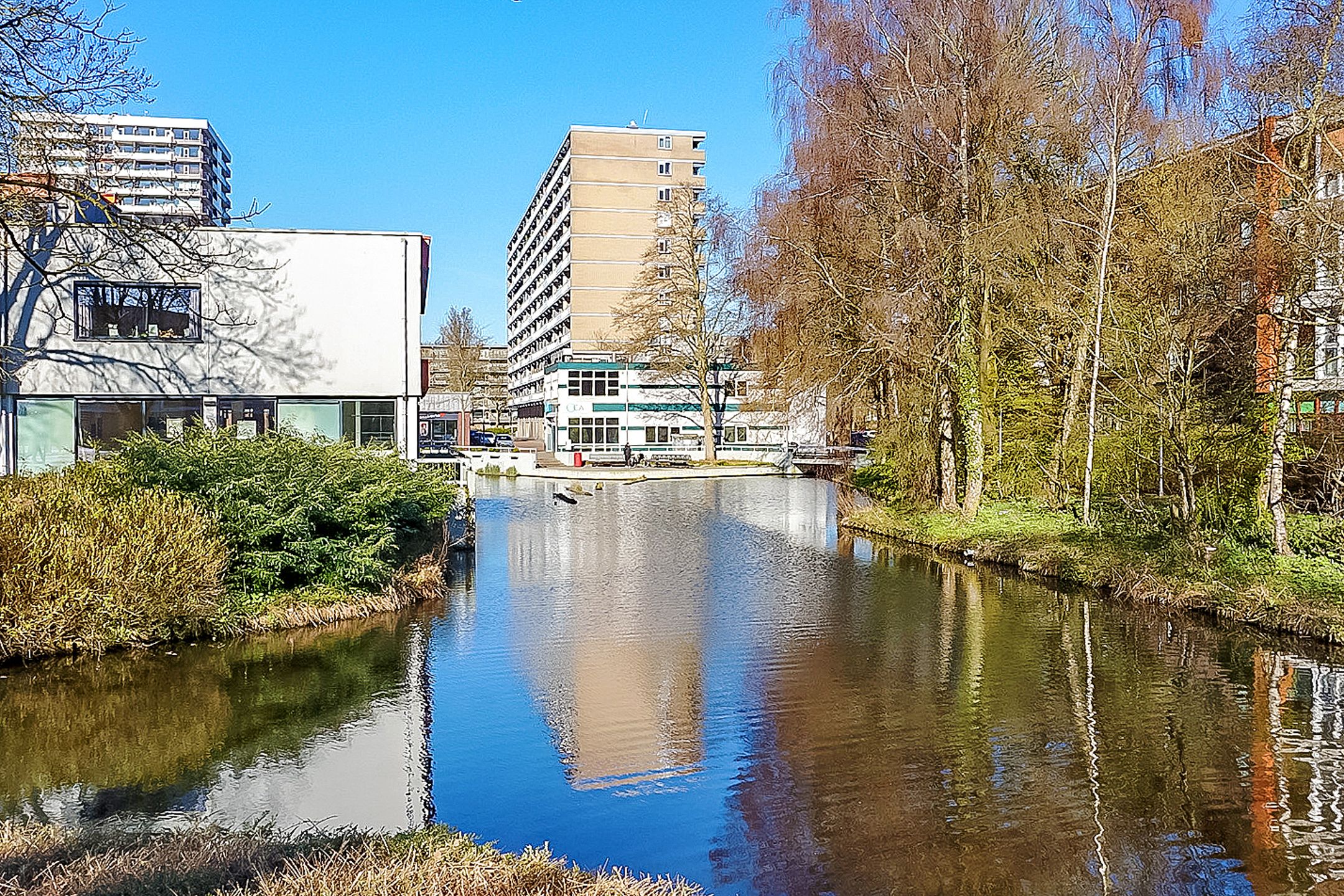 Photo 42 of Majella 19