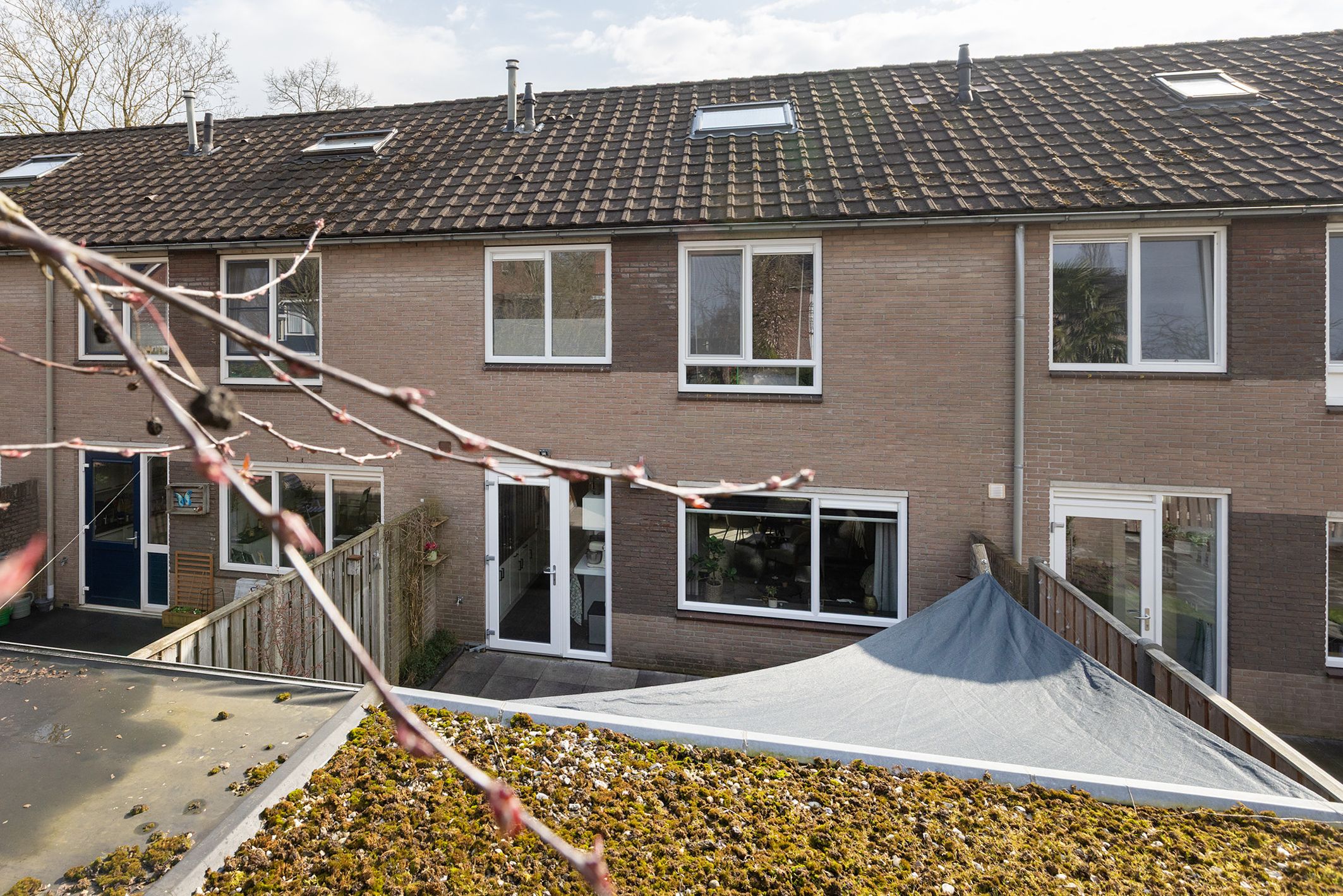 Foto 27 van Primulastraat 25