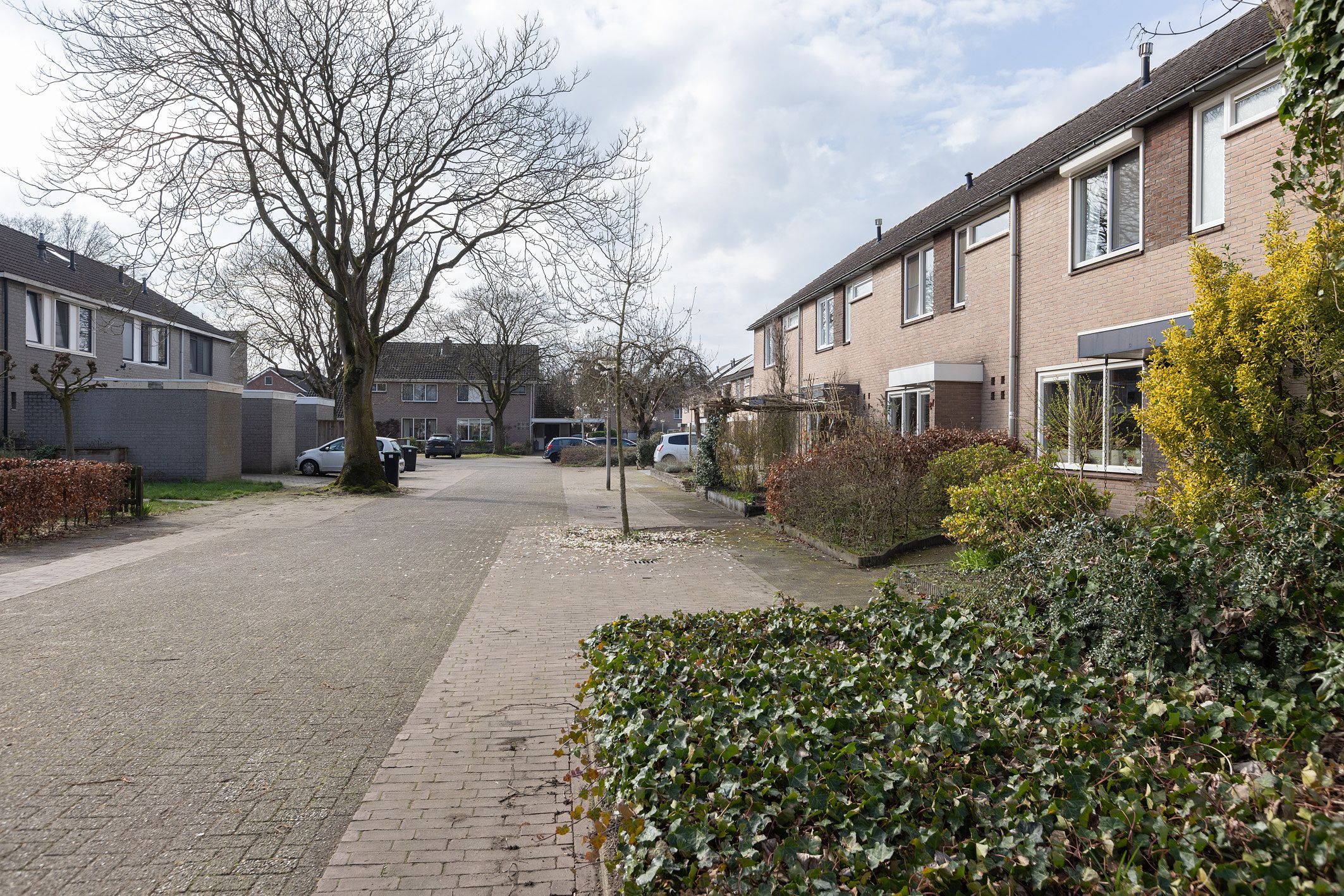 Foto 39 van Primulastraat 25