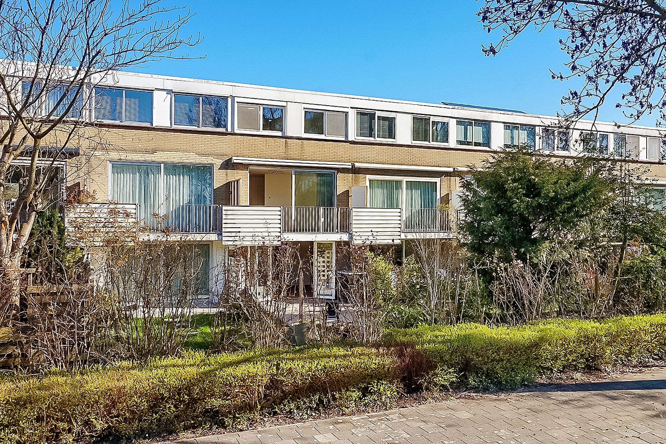 Photo 39 of Majella 19