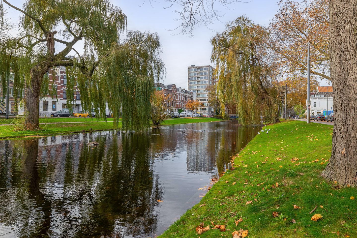 Foto 44 van Noordsingel 117-K