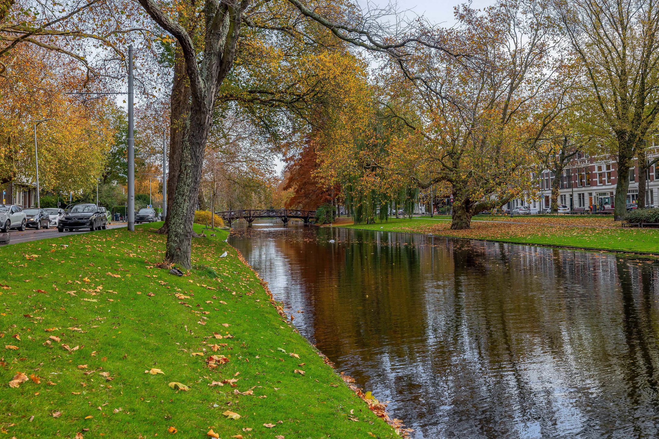 Foto 45 van Noordsingel 117-K