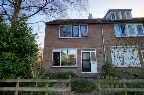 Korenbloem 45 secondary image