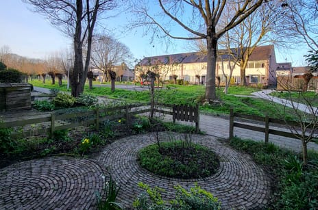 Korenbloem 45 tertiary image