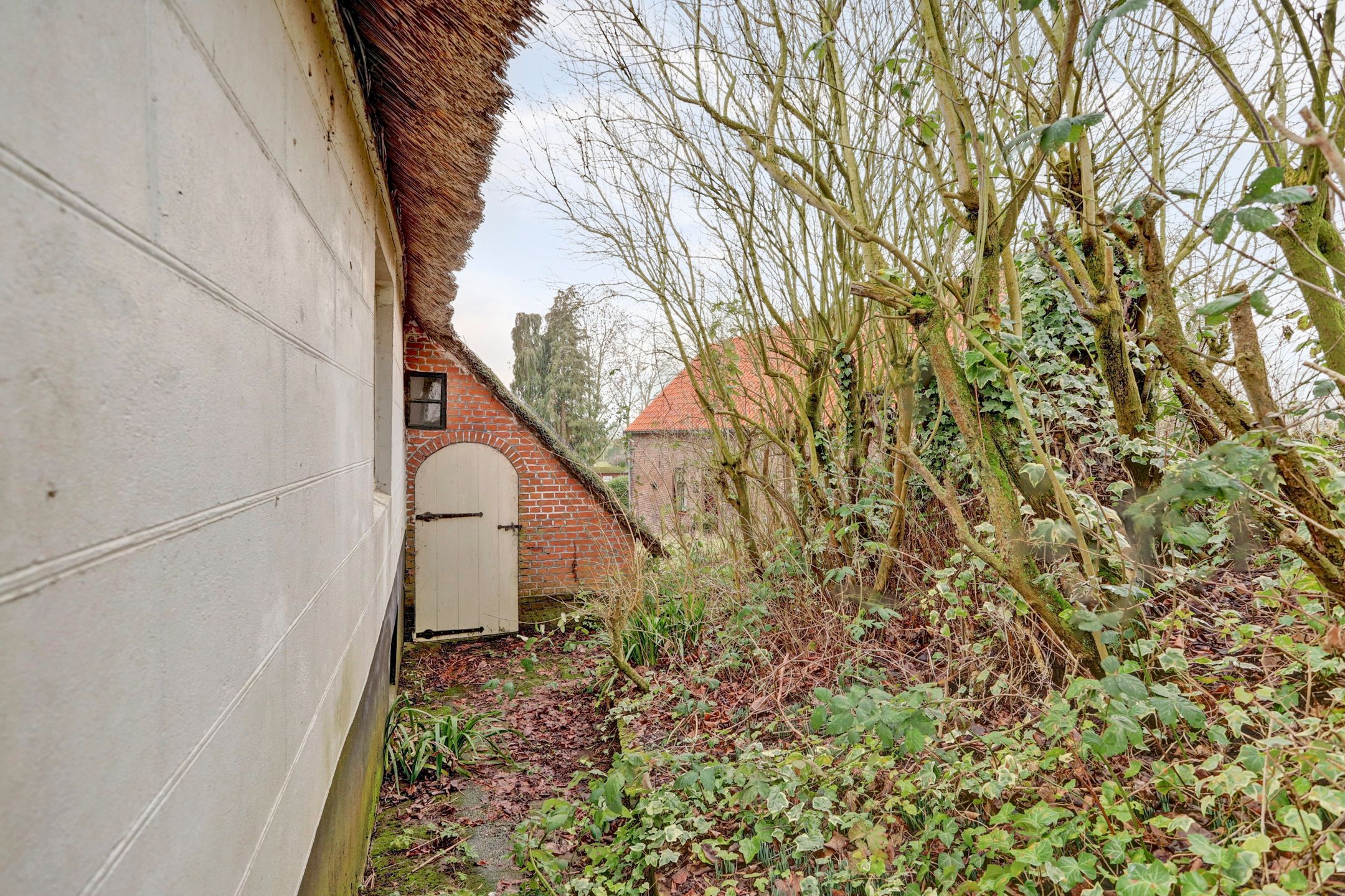 Foto 9 van Zuiderlingedijk 135