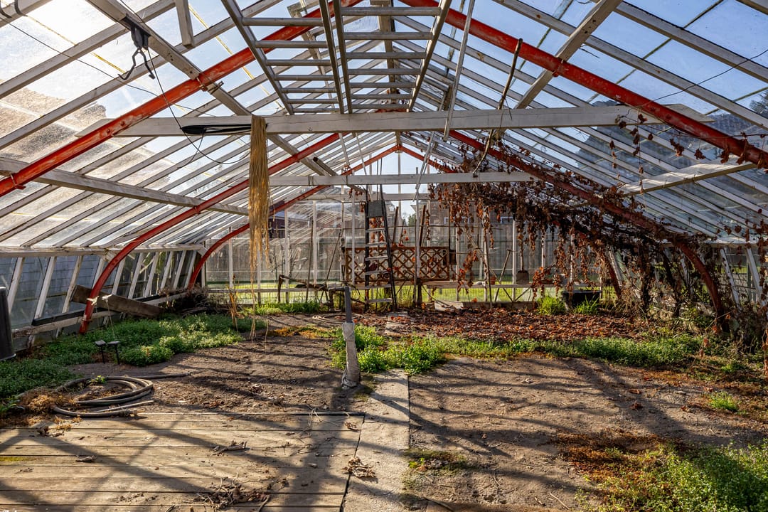 Foto 47 van Hofstraat 1