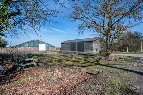 undefined main image