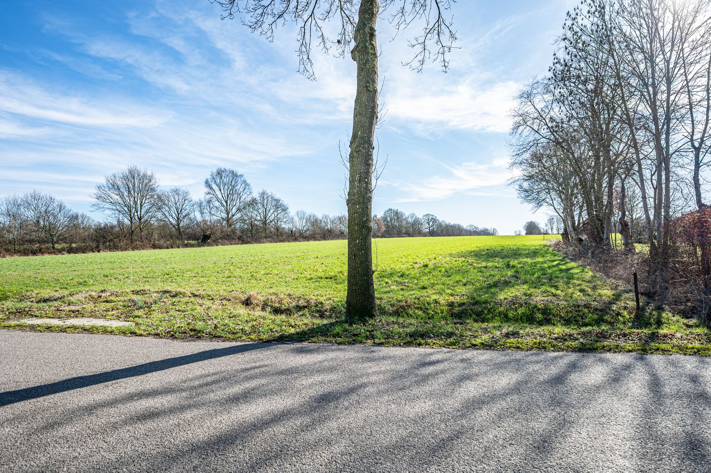 Photo 5 of Leeuwte 33-A