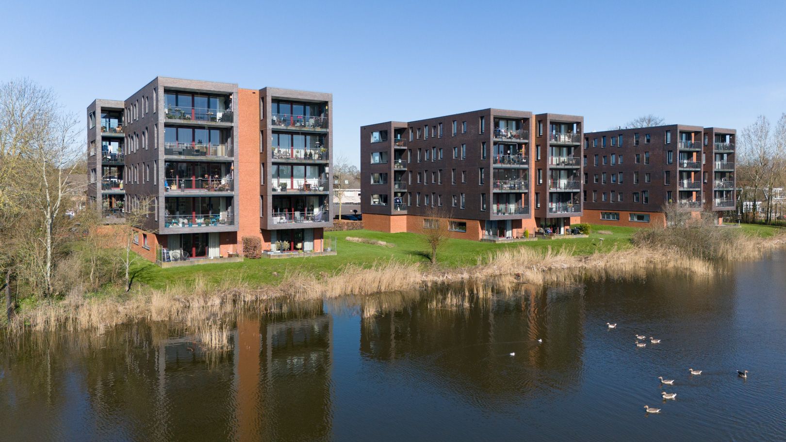 Foto 39 van De Wiekslag 3-103