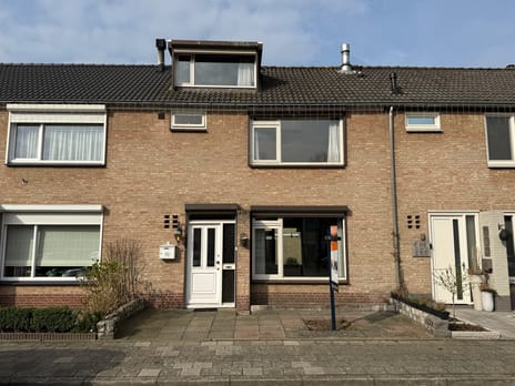 undefined main image