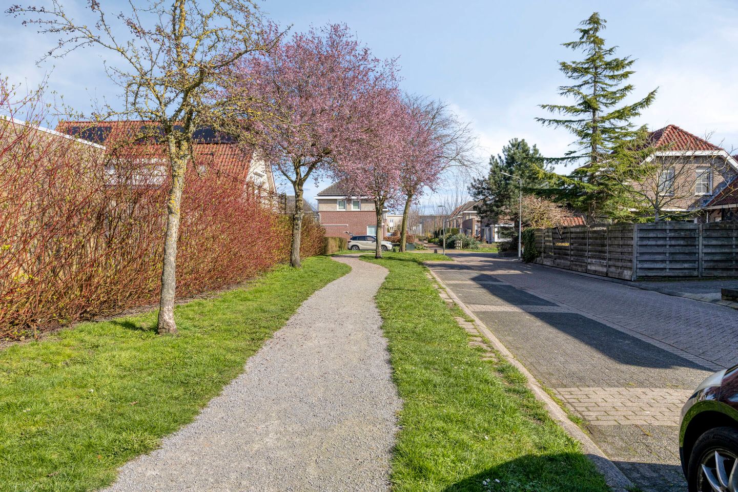 Foto 59 van Botlandstraat 4