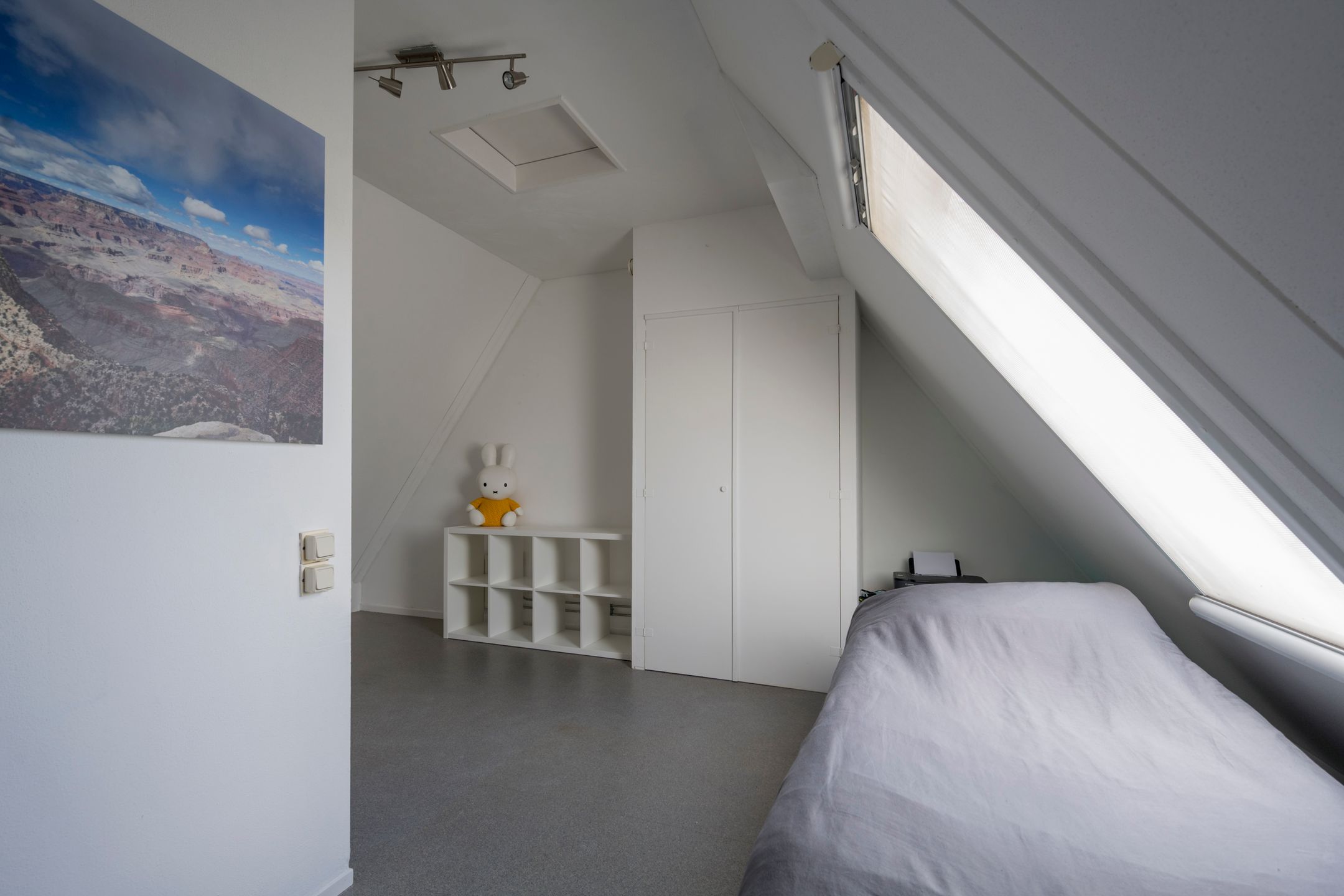 Photo 30 of Boterbloem 8