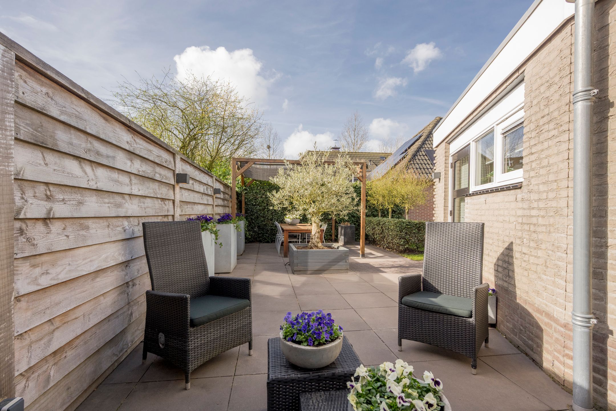 Photo 36 of Boterbloem 8