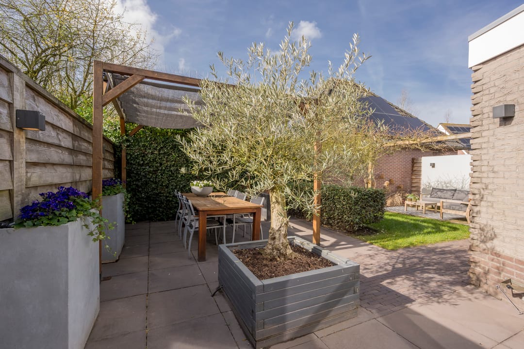 Photo 37 of Boterbloem 8