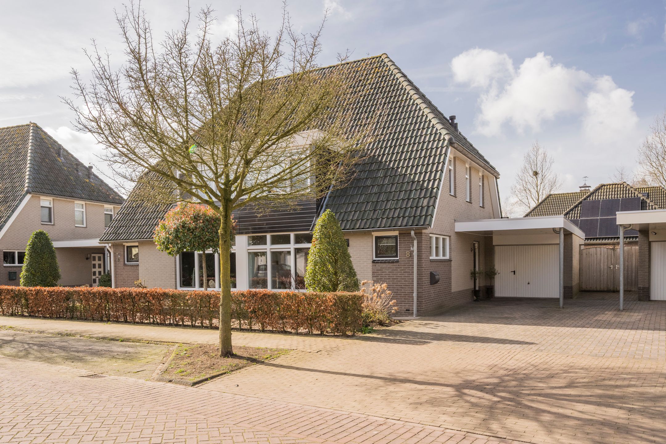 Photo 42 of Boterbloem 8