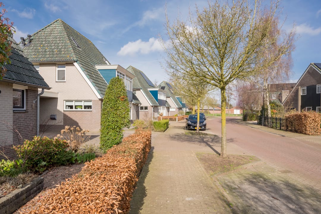 Photo 43 of Boterbloem 8