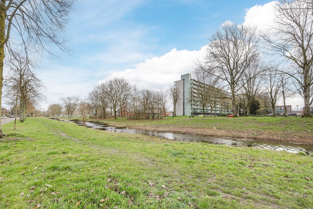 Foto 43 van Roemer Visscherlaan 25