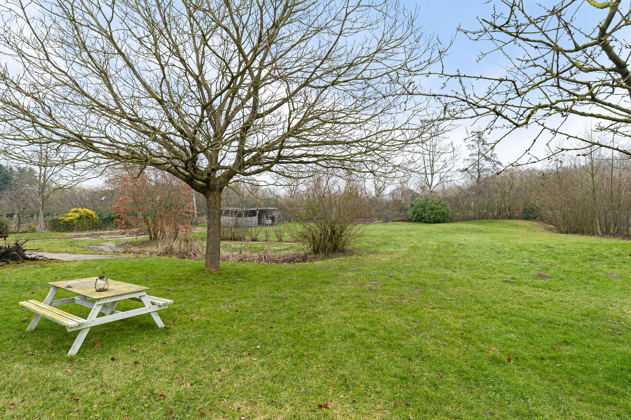 Foto 45 van Groene Velden 181