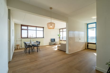 Lupinesingel 200 secondary image