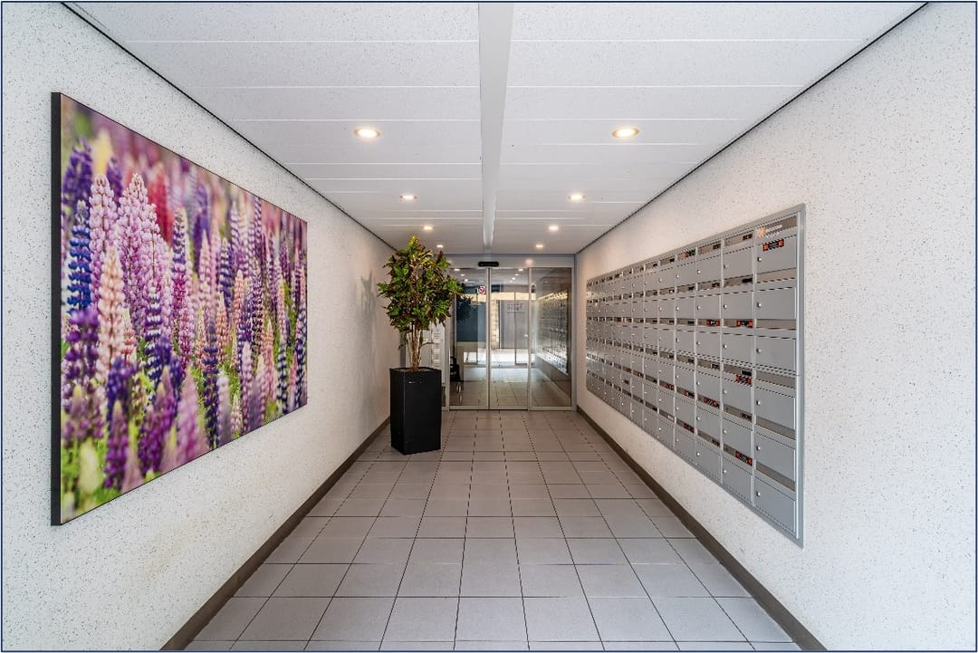 Photo 28 of Lupinesingel 200