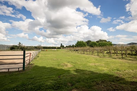 Noorderdracht 5 tertiary image