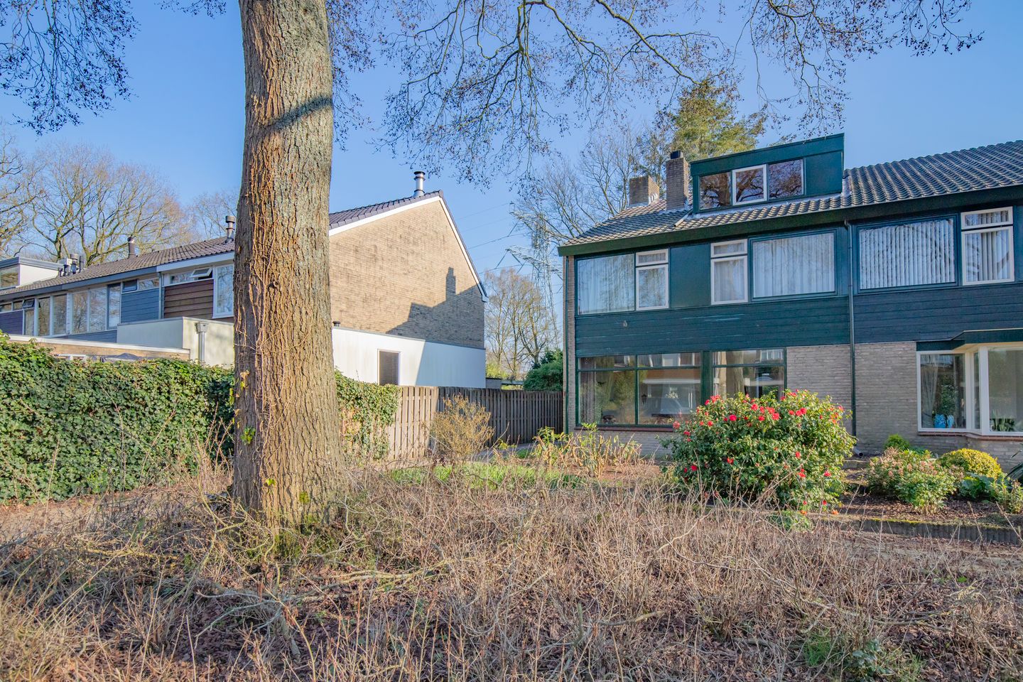 Foto 5 van Mercuriushof 11