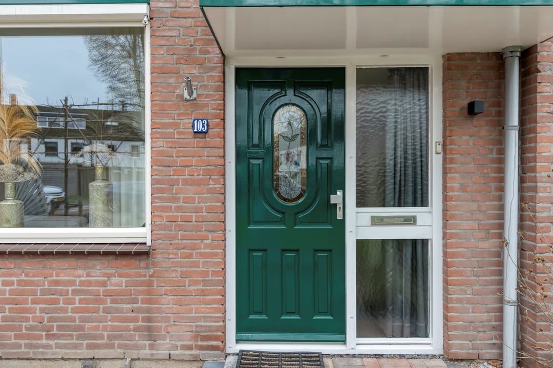 Foto 8 van Roerdomplaan 103